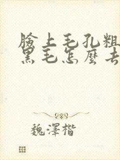 脸上毛孔粗大长黑毛怎么去除