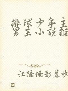 排球少年主受双男主小说推荐