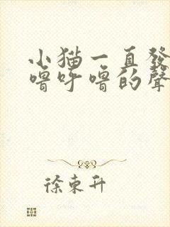 小猫一直发出呼噜呼噜的声音是怎么回事