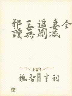 邪王追妻全文阅读无删减