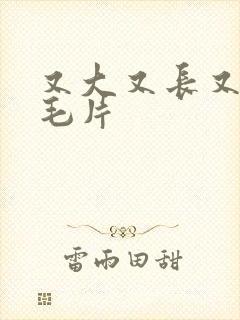 又大又长又粗的毛片