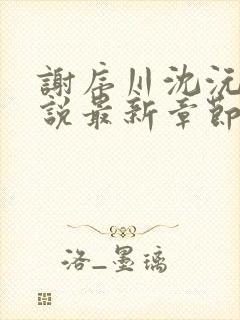 谢序川沈沅珠小说最新章节免费阅读