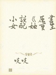 小说《原书恶毒女配她重生了》