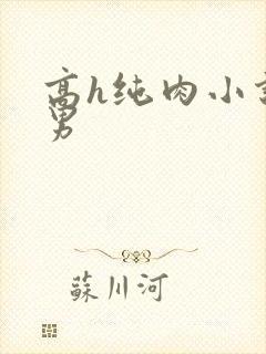 高h纯肉小说男男