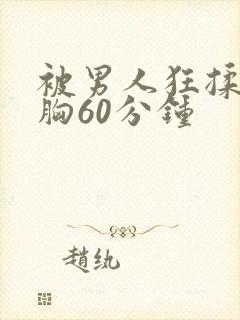 被男人狂揉捏奶胸60分钟