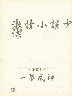 激情小说少妇白洁