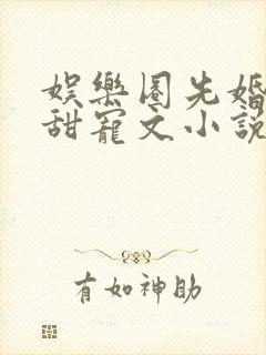 娱乐圈先婚后爱甜宠文小说