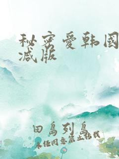 秘密爱韩国未删减版