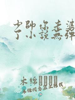 少帅你老婆又跑了小说无弹窗