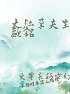 大肚孕夫生生生欧铭