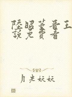 陆昭菱晋王的小说免费看