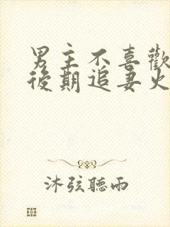 男主不喜欢女主后期追妻火葬场