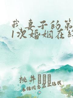 我妻子的第101次婚姻在线观看完整版