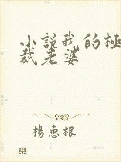 小说我的极品总裁老婆