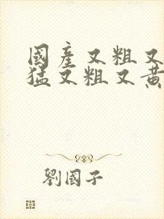 国产又粗又爽又猛又粗又黄的视频