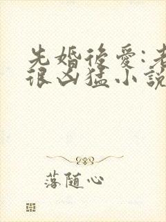 先婚后爱:老公很凶猛小说电子版txt