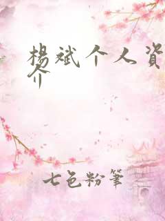 杨斌个人资料简介