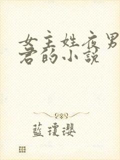 女主姓夜男主姓君的小说