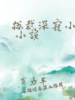 总裁深宠小甜妻 小说