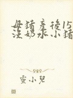 母猪产后15天没奶水小猪怎么办