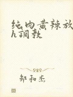 纯肉黄辣放荡高h调教