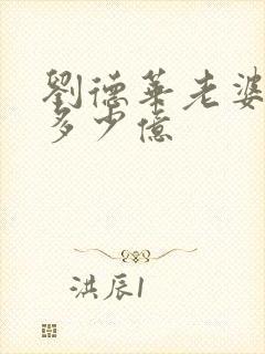 刘德华老婆身价多少亿