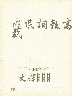 催眠调教高冷总裁