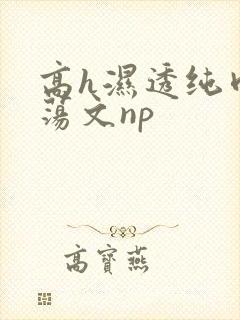 高h湿透纯肉放荡文np