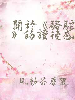 关于《骆驼祥子》的读后感