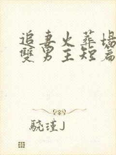 追妻火葬场小说双男主短篇