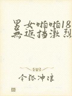 男女啪啪18禁无遮挡激烈