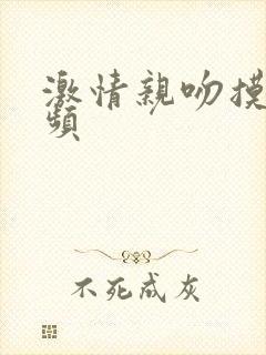 激情亲吻摸胸视频