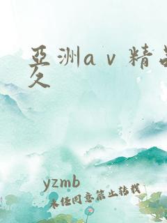 亚洲aⅴ精品久久