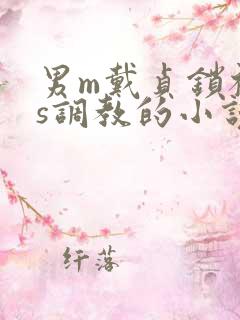 男m戴贞锁被女s调教的小说