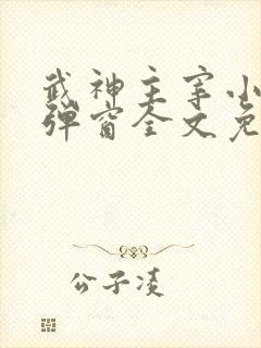 武神主宰小说无弹窗全文免费阅读