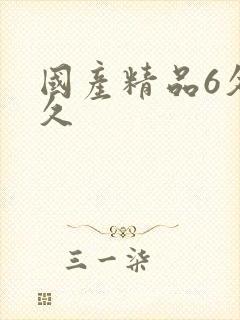 国产精品6久久久