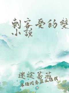 刺客受的双男主小说