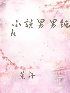 小说男男纯肉高h