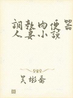 调教肉便器精厕人妻小说