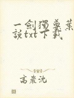 一剑独尊叶玄小说txt下载