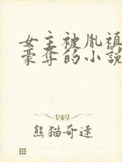 女主被胤禛强取豪夺的小说