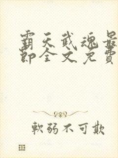 霸天武魂最新章节全文免费阅读