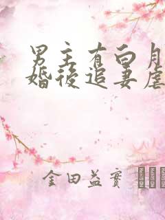 男主有白月光的婚后追妻虐文