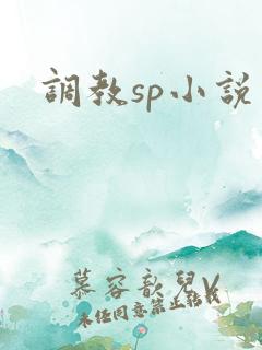 调教sp小说