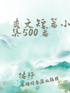 爽文短篇小说合集500篇