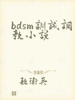 bdsm训诫调教小说