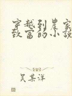 穿越到农家发家致富的小说