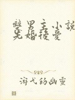 双男主小说推荐先婚后爱