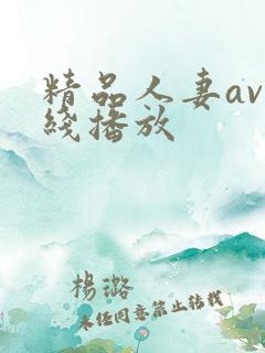 精品人妻av在线播放