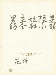 男主姓陆是总裁的全部小说